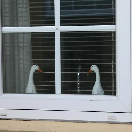 Nustrup Bed & Breakfast Vojens